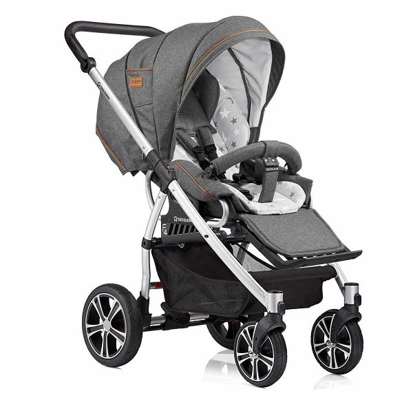 Gesslein F4 Air Plus Gestell Eloxiert Sportwagen Zum Buggy Umbaubar | Farbe Wählbar 3 Gesslein F4 Air Plus Gestell Eloxiert Sportwagen Zum Buggy Umbaubar | Farbe Wählbar