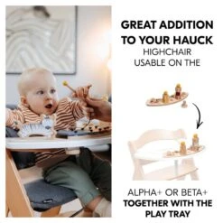 Hauck Play Sorting Sortierspiel Für Das Hauck Play Tray Giraffe -Kinder Geschäft 4894352808041.pt02.play sorting