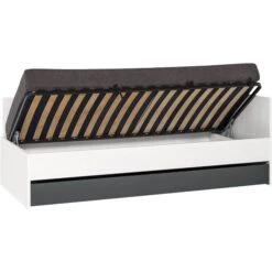 VOX Nest Jugendzimmer 2-türig Mit Sofabett Larch/graphite 6 VOX Nest Jugendzimmer 2-türig Mit Sofabett Larch/graphite -Kinder Geschäft 5010710 2