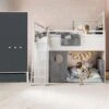 VOX Nest Jugendzimmer 2-türig Mit Hochbett Larch/graphite 2 VOX Nest Jugendzimmer 2-türig Mit Hochbett Larch/graphite -Kinder Geschäft hochbett zimmer 1 1