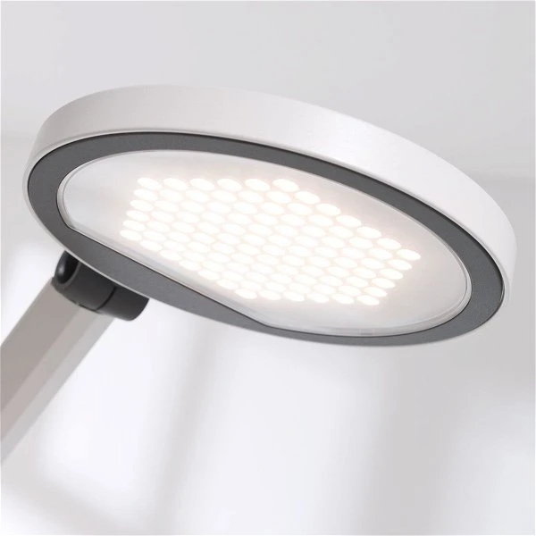 Paidi Schreibtischleuchte Para.Mi LED-Leuchte Mit Stufenloser Dimmfunktion 4 Paidi Schreibtischleuchte Para.Mi LED-Leuchte Mit Stufenloser Dimmfunktion – Bild 2