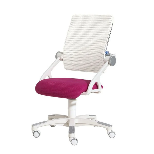 Paidi Yvo Schreibtischstuhl Brombeere/weiß Ergonomie & Design - Zum Aktionspreis 3 Paidi Yvo Schreibtischstuhl Brombeere/weiß Ergonomie & Design - Zum Aktionspreis