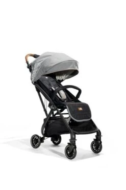Joie Signature Tourist Buggy Carbon